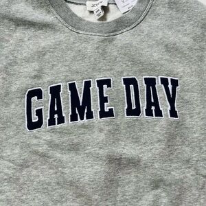 J. Crew Gray Game Day Sweatshirt